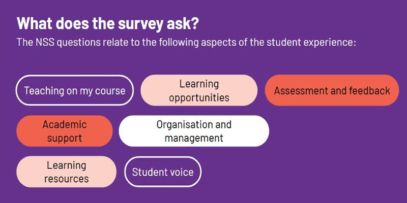 National Student Survey (NSS)