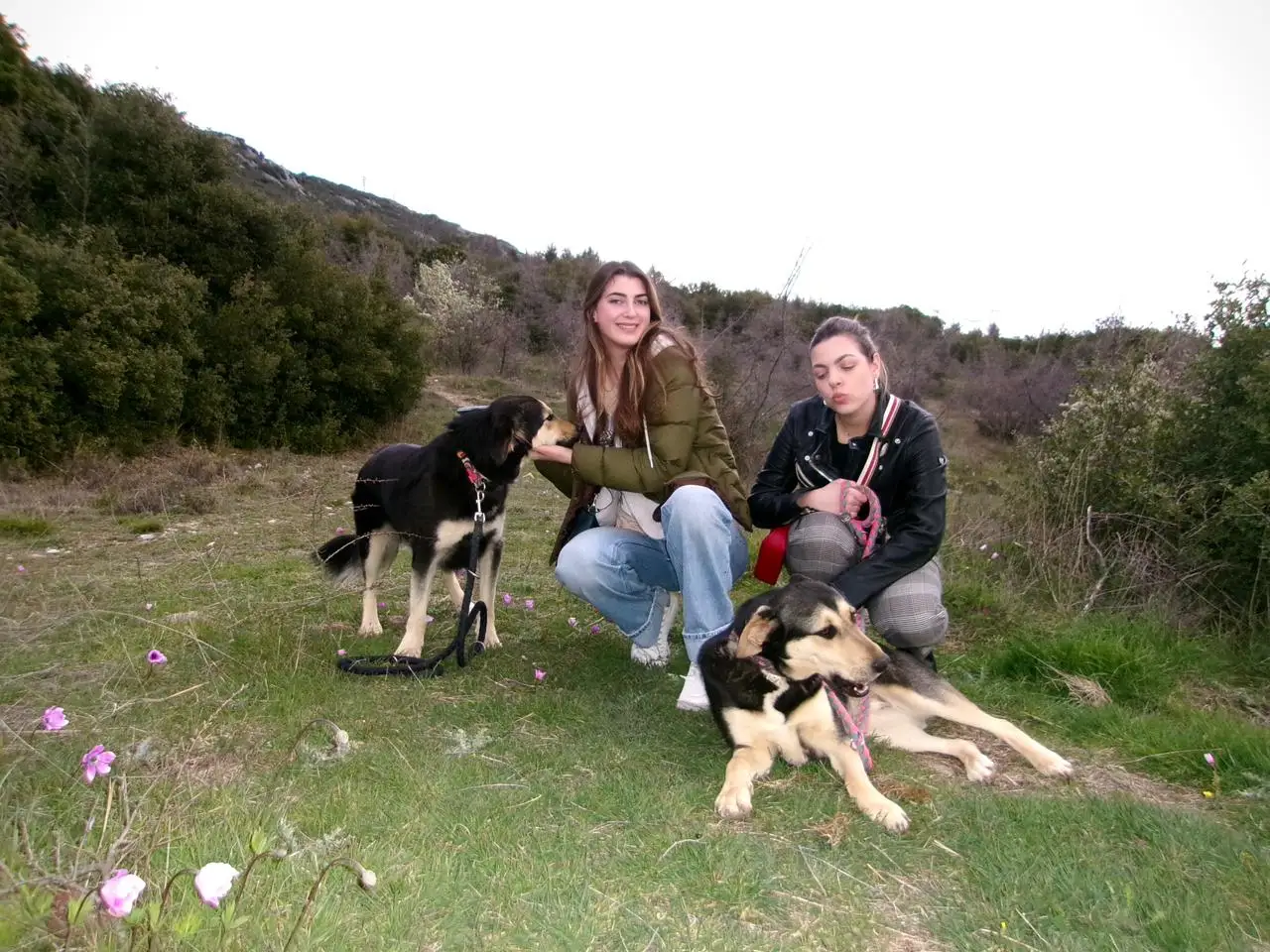 Students participating in the Sunrise Movement Initiative visited Animal Shelter Stray Planet