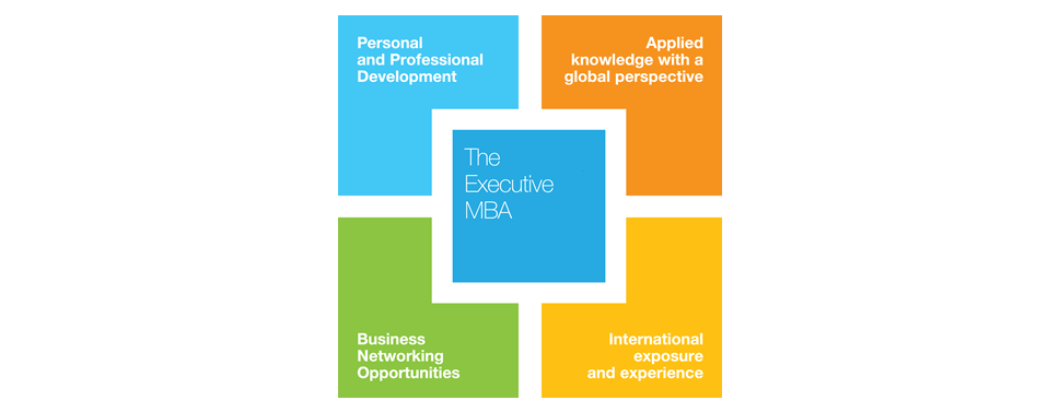 The Pan-European Executive MBA: a holistic approach to business management education