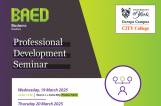 Professional Development Seminar: Employability Skills Reflection